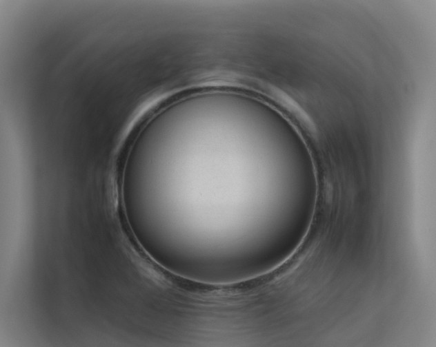 X0000113261368200909101450