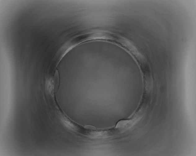 X0000113261369200909101450