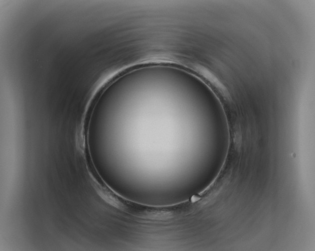 X0000113261372200909101450