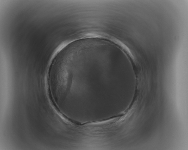 X0000113261373200909101450