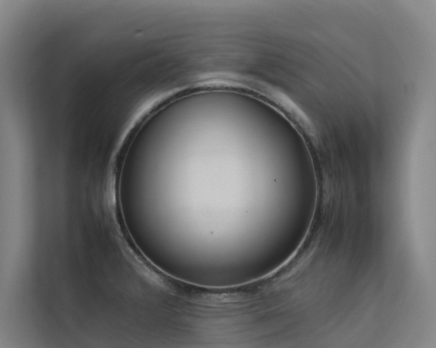 X0000113261376200909101450