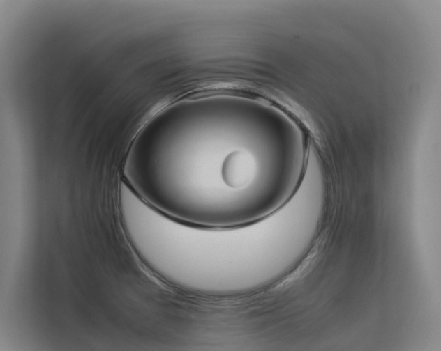 X0000113261377200909101450