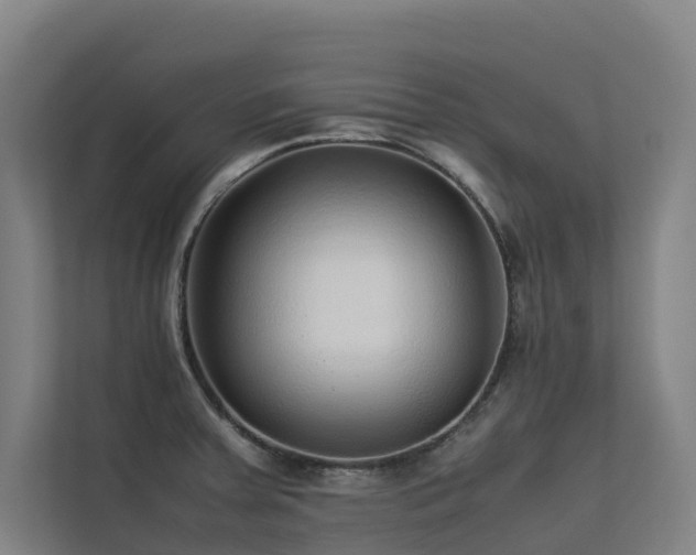 X0000113261379200909101450