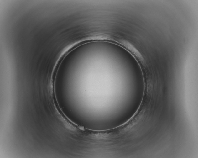 X0000113261380200909101450