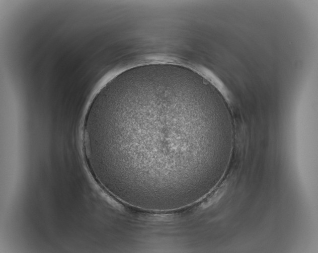 X0000113261381200909101450