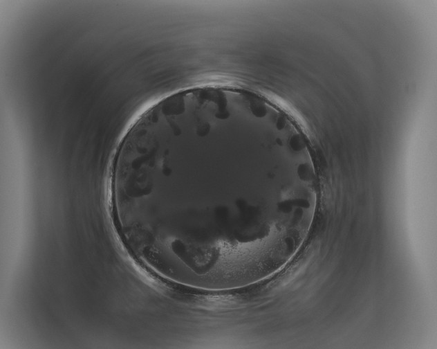 X0000113261383200909101450