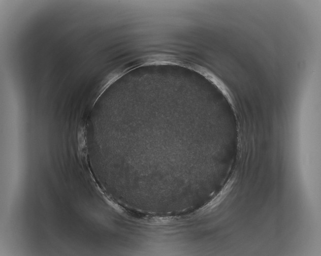 X0000113261385200909101450