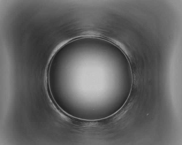 X0000113261387200909101450