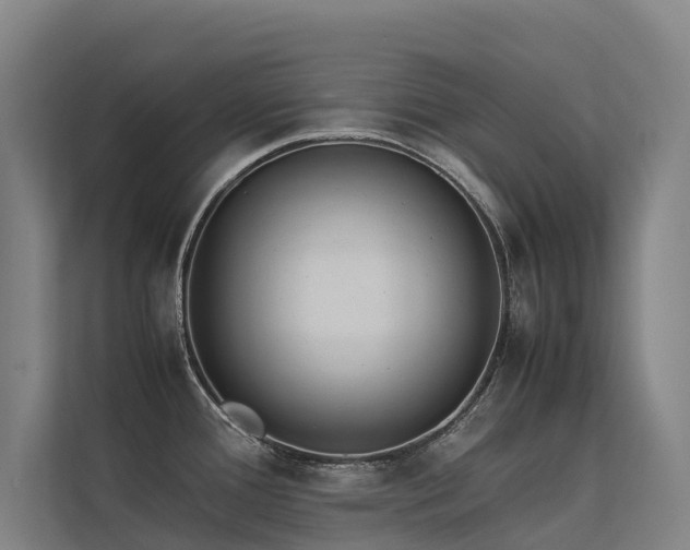 X0000113261388200909101450