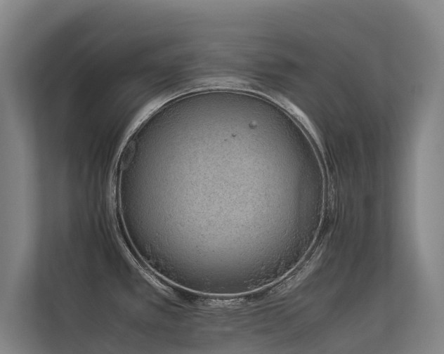 X0000113261389200909101450