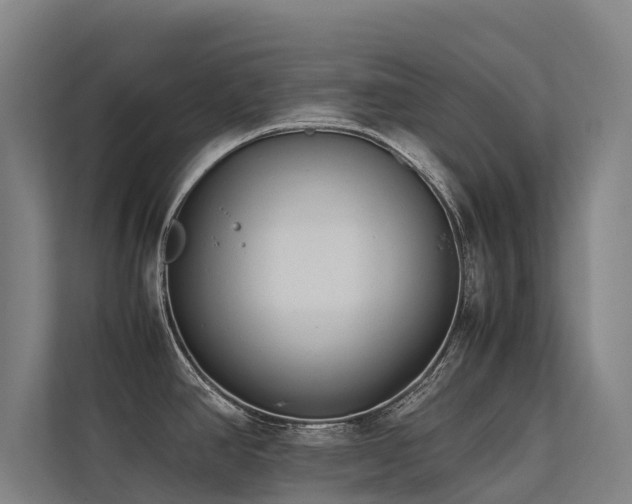 X0000113261390200909101450