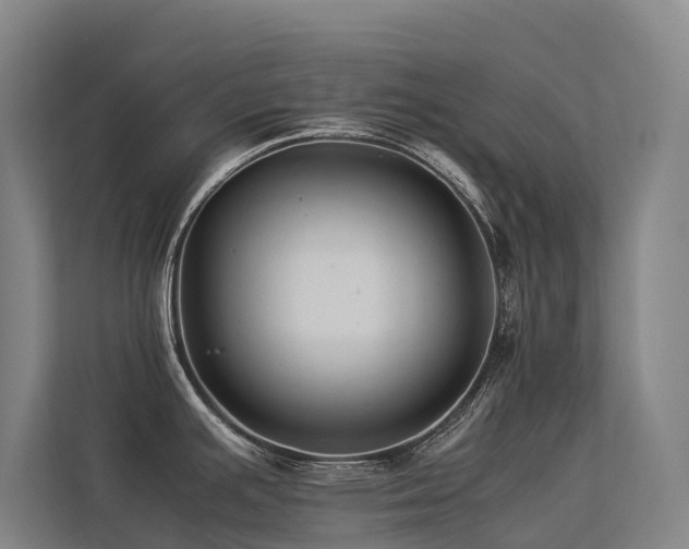 X0000113261391200909101450