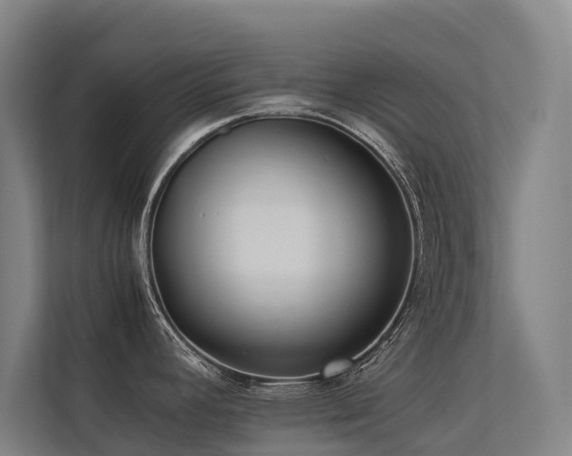 X0000113261392200909101450