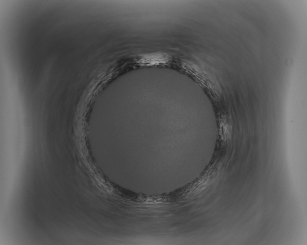 X0000113261393200909101449