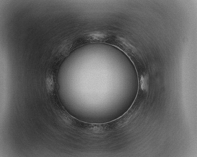 X0000113261395200909101449