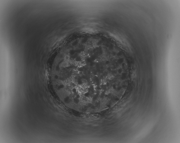 X0000113261397200909101449