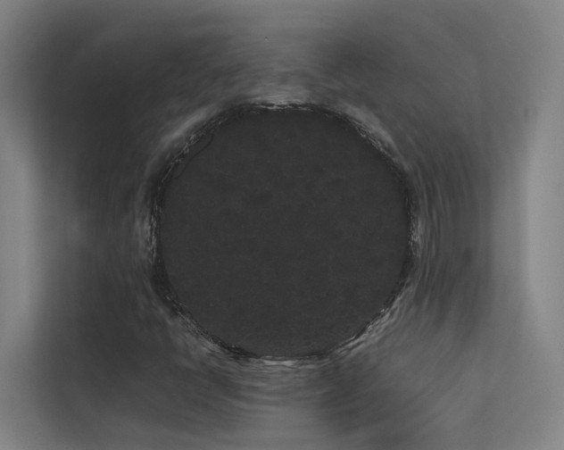 X0000113261398200909101449