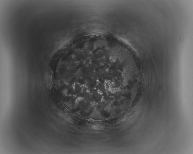 X0000113261399200909101449