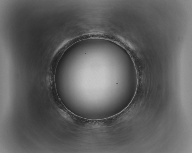 X0000113261400200909101449