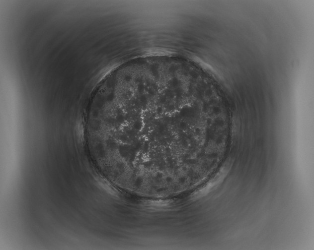 X0000113261401200909101449