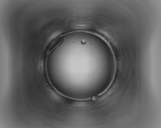 X0000113261402200909101449