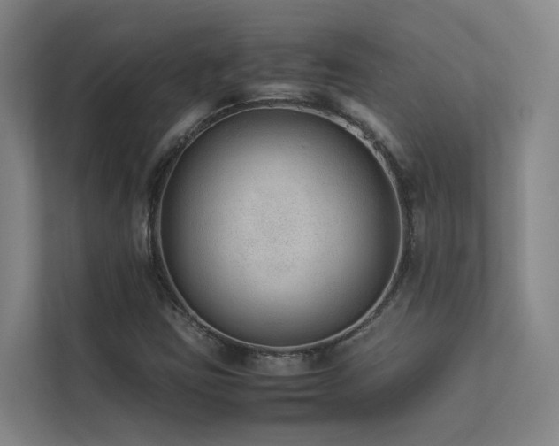 X0000113261403200909101449