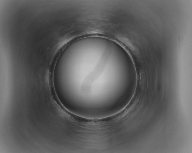 X0000113261404200909101449