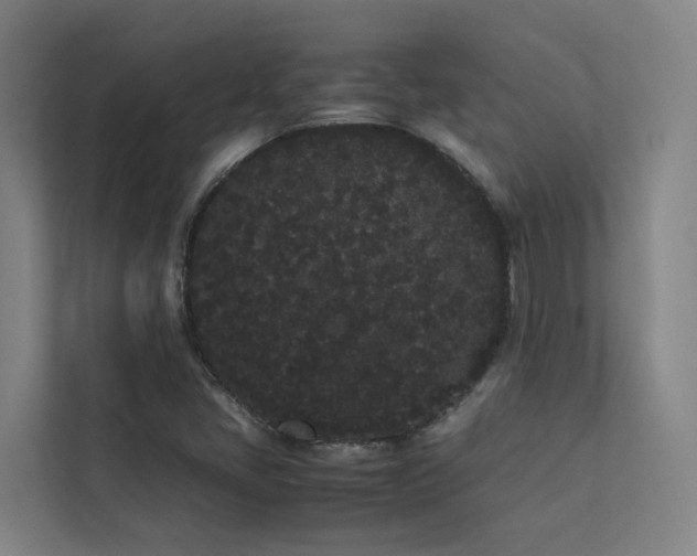 X0000113261405200909101449