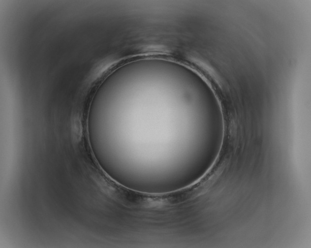 X0000113261407200909101449