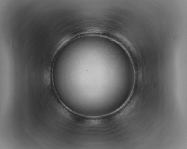 X0000113261409200909101449