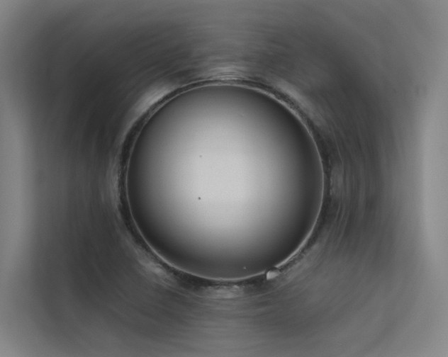 X0000113261410200909101449