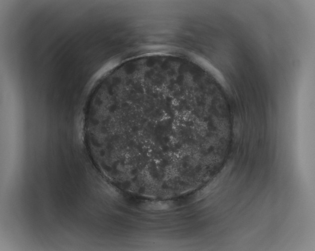 X0000113261411200909101450