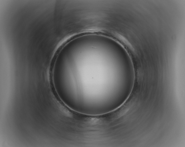 X0000113261412200909101450