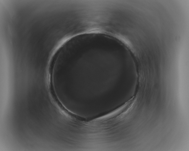 X0000113261414200909101450