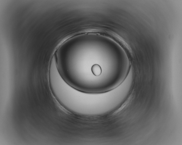 X0000113261417200909101450