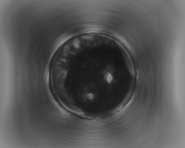 X0000113261418200909101450