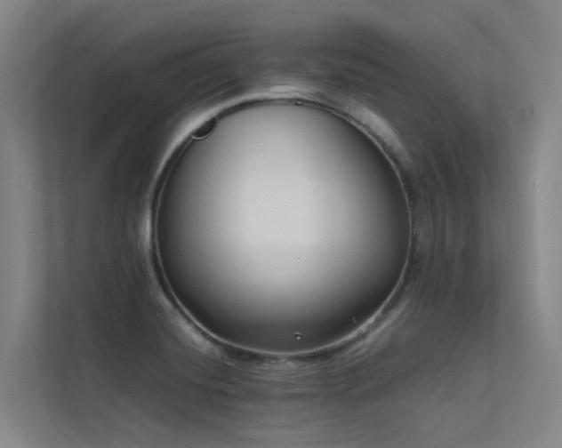 X0000113261420200909101450