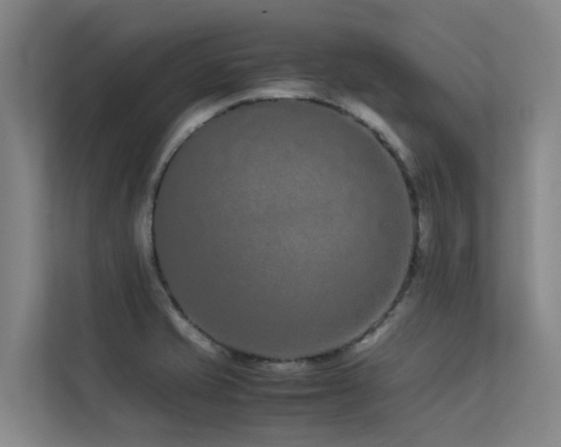 X0000113261421200909101450