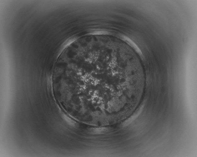 X0000113261425200909101450