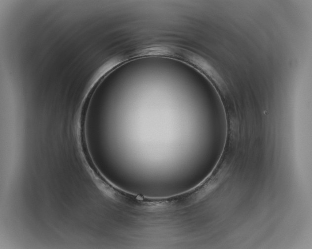 X0000113261426200909101450