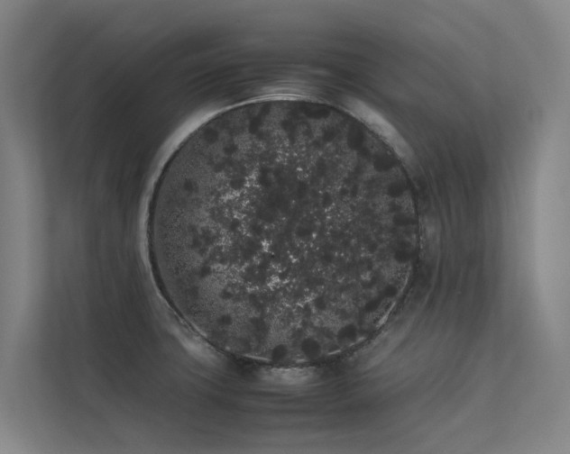 X0000113261427200909101450