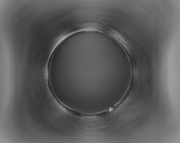 X0000113261428200909101450