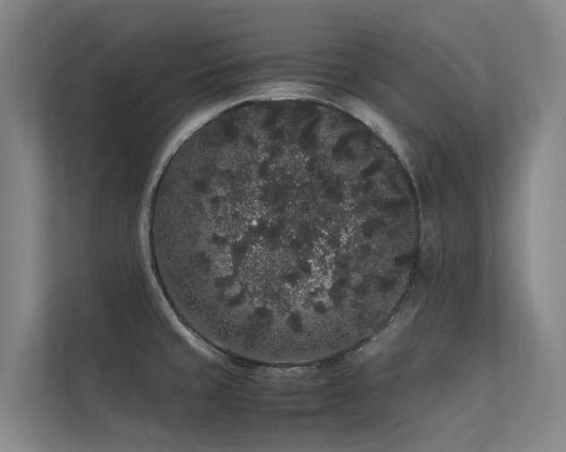 X0000113261429200909101450