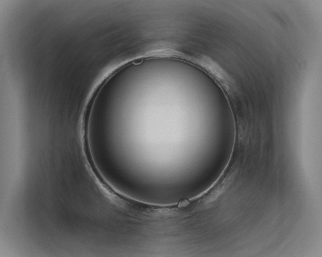 X0000113261430200909101450