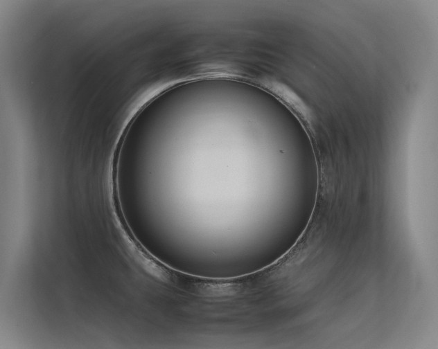 X0000113261431200909101450