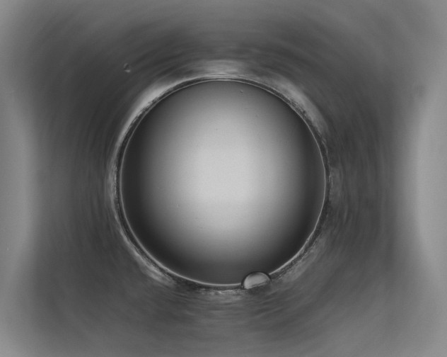 X0000113261432200909101450