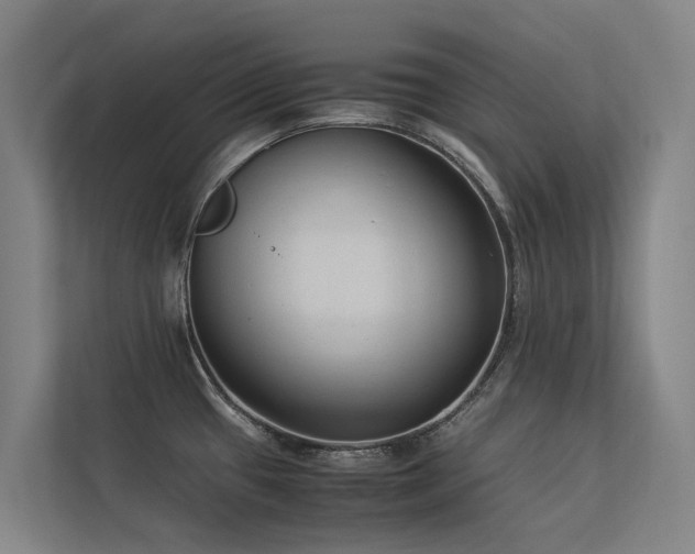 X0000113261433200909101450