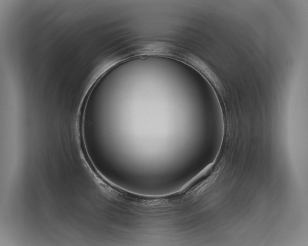 X0000113261434200909101450