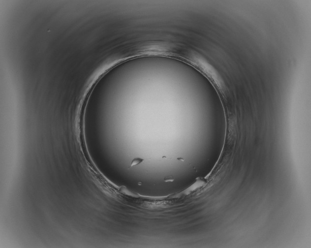 X0000113261435200909101450