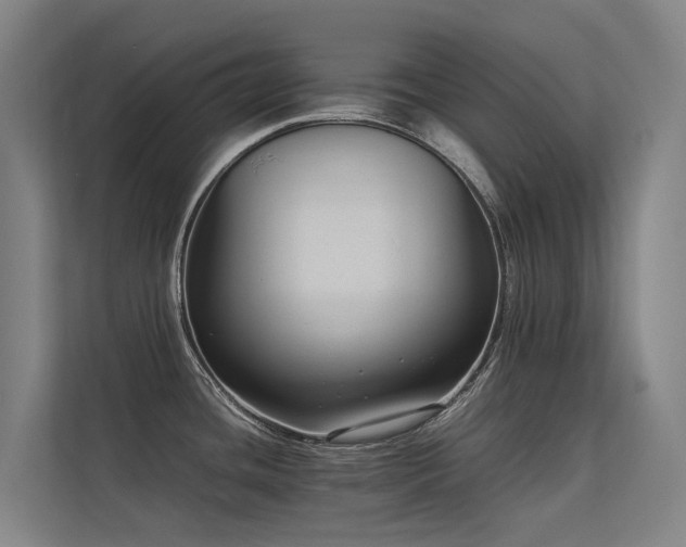 X0000113261436200909101450